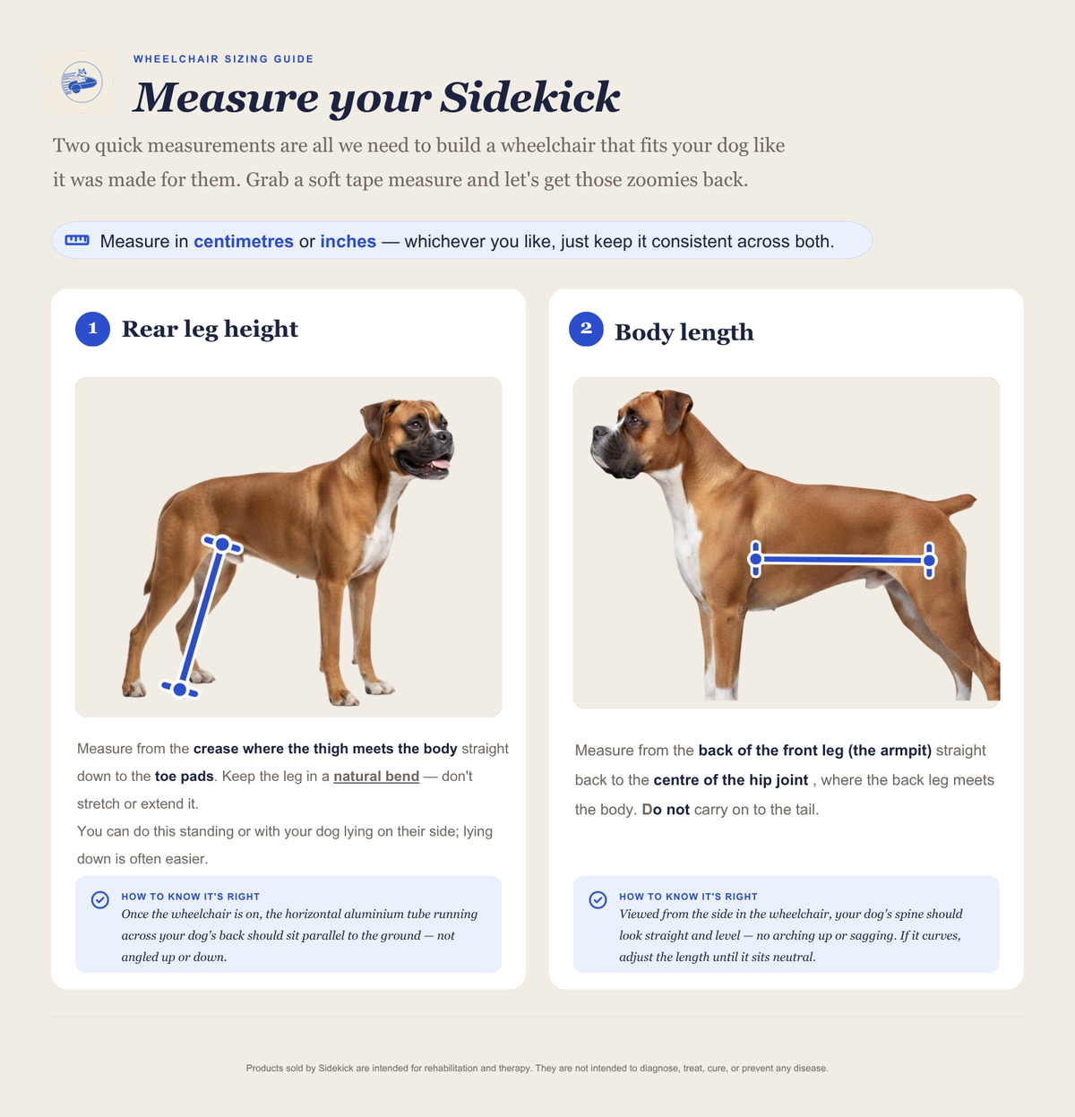 How to measure your dog