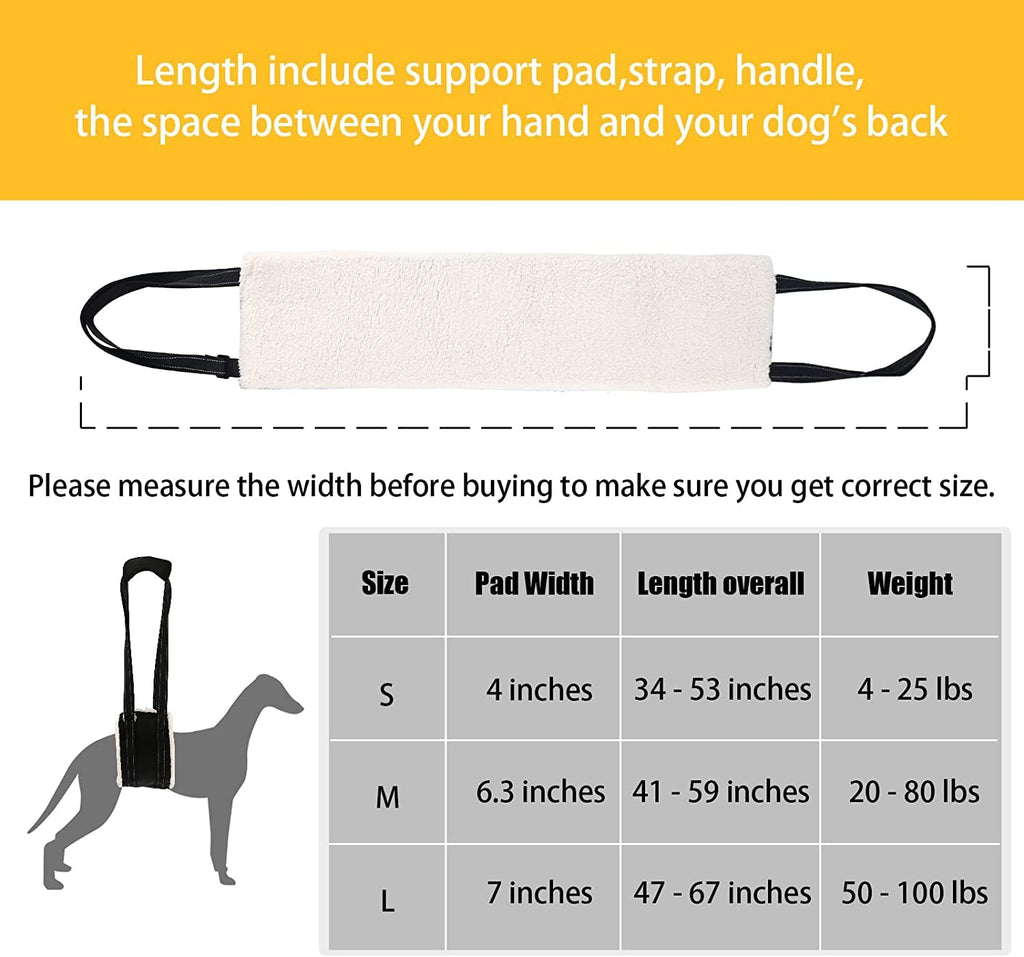 Belly support harness