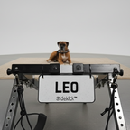 Custom Name plate on Sidekick dog wheelchair