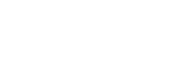 Sidekick