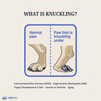 Knuckling correction brace