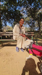 Dog Wheelchair India | Rear Support Wheel Cart for Hind Legs